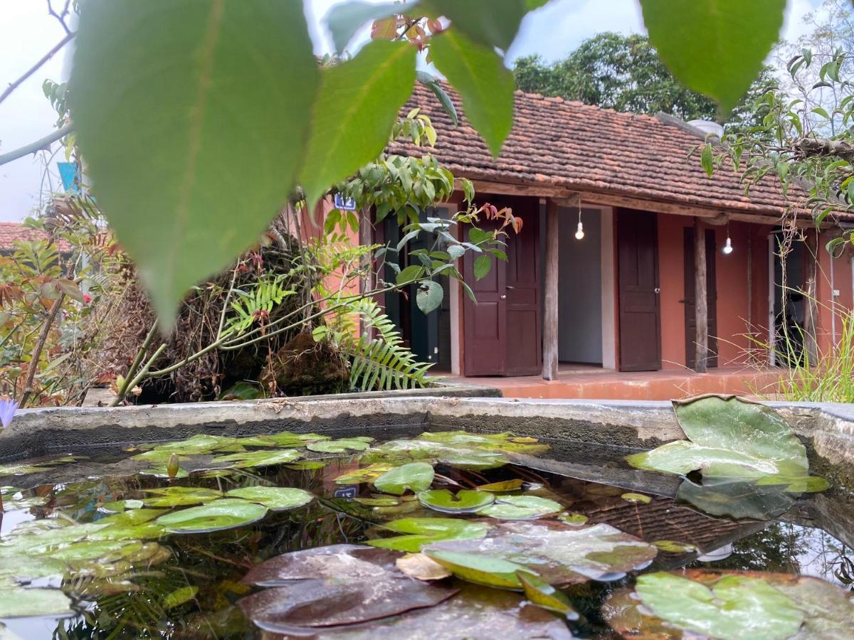 Little Trang An Homestay Ninh Binh Exterior photo