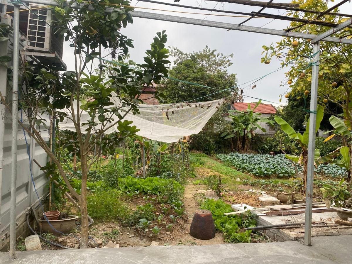 Little Trang An Homestay Ninh Binh Exterior photo