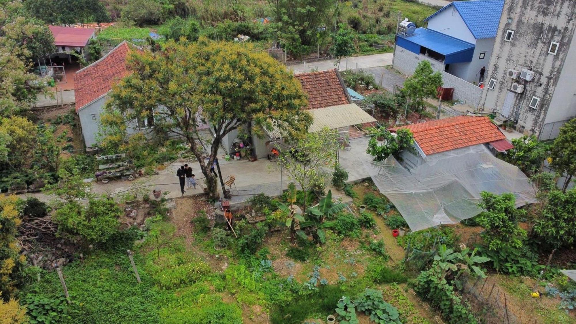 Little Trang An Homestay Ninh Binh Exterior photo