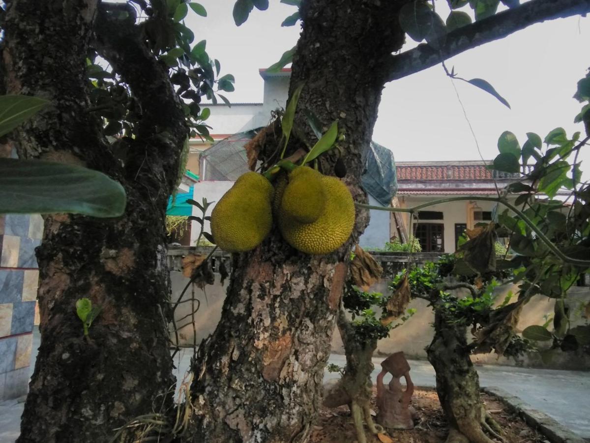 Little Trang An Homestay Ninh Binh Exterior photo